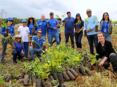 Ação de plantio de mudas em iniciativa de sustentabilidade.