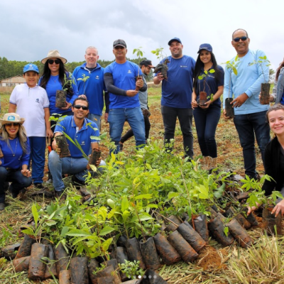 Ação de plantio de mudas em iniciativa de sustentabilidade.
