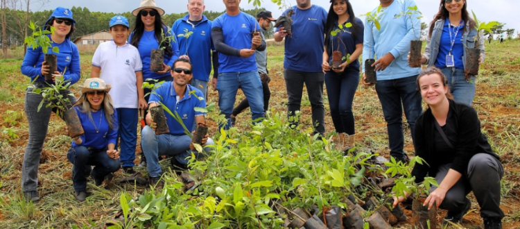 Ação de plantio de mudas em iniciativa de sustentabilidade.